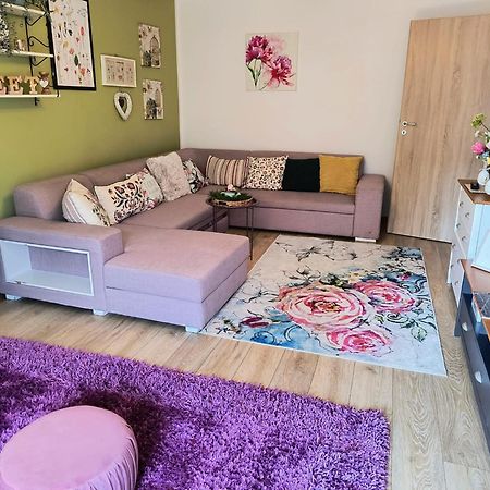 Sweet Garden Residence Брашов Екстериор снимка